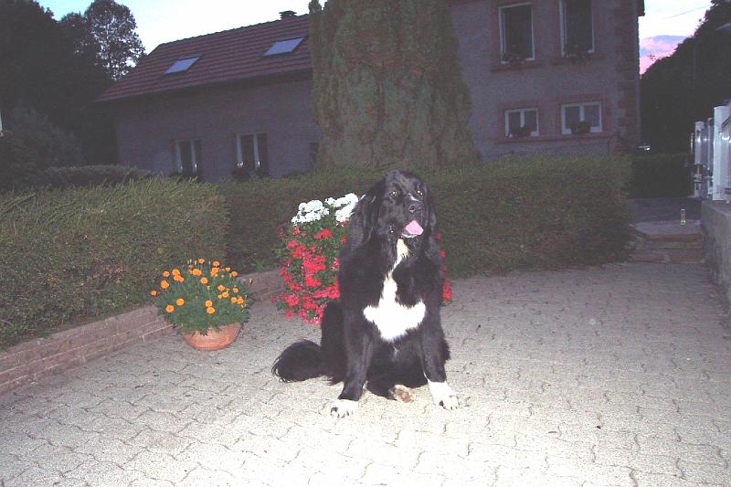 15-08-2003++3.jpg